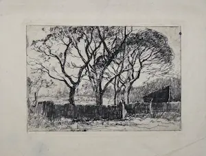 Willem de Zwart - Bomen achter een heining kopen? Bied vanaf 35!