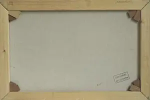 Jan Schaeffer - Kagerplassen kopen? Bied vanaf 179!