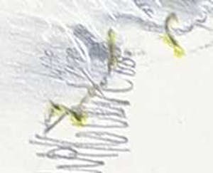 Willovèrt - Krijttekening op papier, Pyrenées Orientales France kopen? Bied vanaf 1!