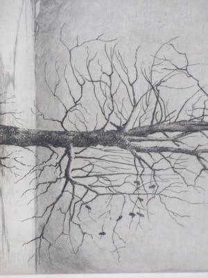 Hans van Dokkum - Besneeuwd landschap met vogels in dode boom - Ets kopen? Bied vanaf 35!