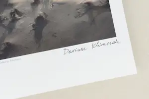 Dariusz Klimczak - 'Op het nest' (2011) - GRATIS VERZENDING kopen? Bied vanaf 70!