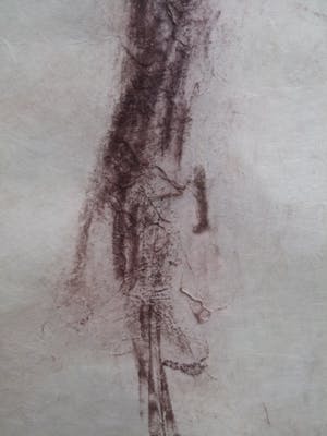 Cees Bantzinger - Naakt in krijt - groot formaat! kopen? Bied vanaf 125!