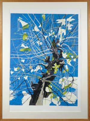 Vincent van Ojen - Houtsnede, Boom - Ingelijst (Groot) kopen? Bied vanaf 100!