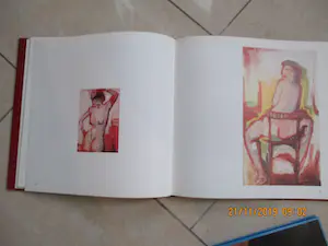 Nico Vrielink - 2 boeken van en over Nico Vrielink , waarvan 1 gesigneerd kopen? Bied vanaf 30!