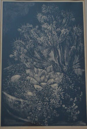 Ina Rahusen - Stilleven met cactussen kopen? Bied vanaf 10!