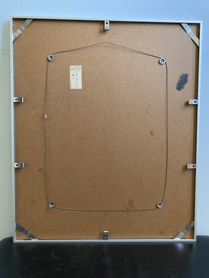 Walty Dudok van Heel - Labrador kopen? Bied vanaf 50!