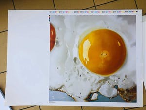 Tjalf Sparnaay - Ei/Egg kopen? Bied vanaf 350!