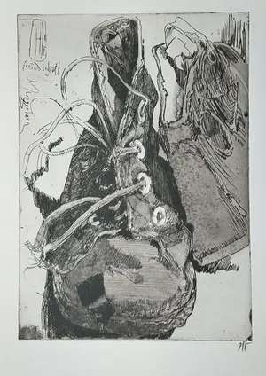 Horst Janssen - "Schuh" (1982) schöne Radierung kopen? Bied vanaf 180!