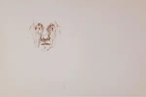 Melle Oldeboerrigter - Melle Oldeboerrigter - Melle map met 14 litho's 1968 kopen? Bied vanaf 100!