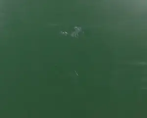 Jean van Wijk - Gemengde techniek op paneel, Volume (Zeer groot) kopen? Bied vanaf 1!