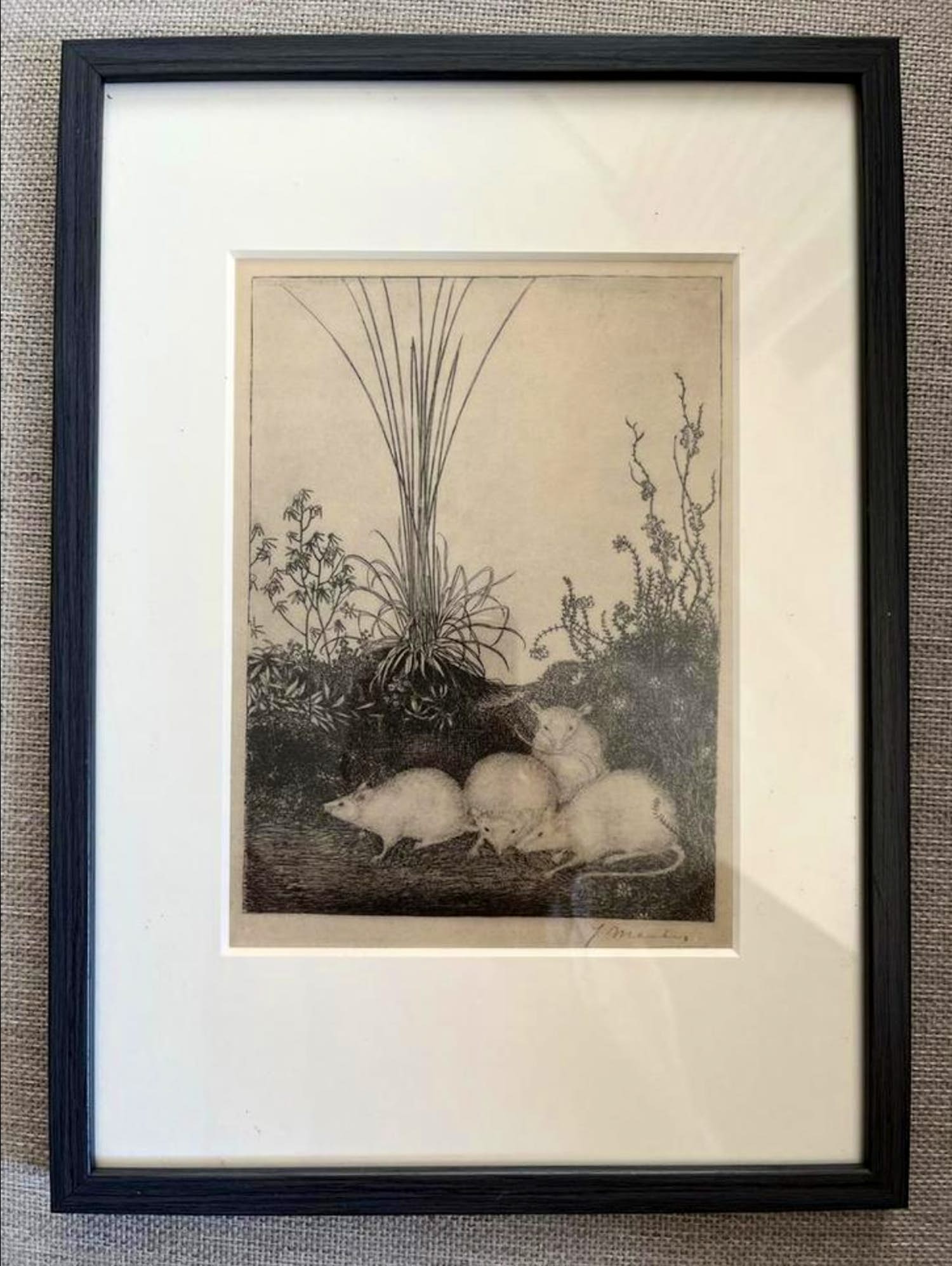 Jan Mankes - Originele Heliogravure - 4 Muizen 1923 kopen? Bied vanaf 50!