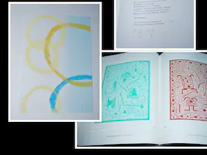 Pieter Bijwaard - Boek, 2x gesigneerd, genumm.336/500-met gouache, foto, 5 drukwerken en 2x CD kaufen? Bieten Sie von 25!