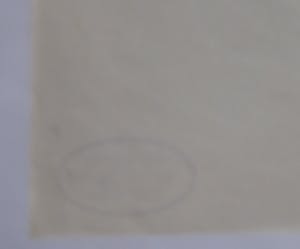 Rudolf Muchow - unbekannter Titel kopen? Bied vanaf 39!