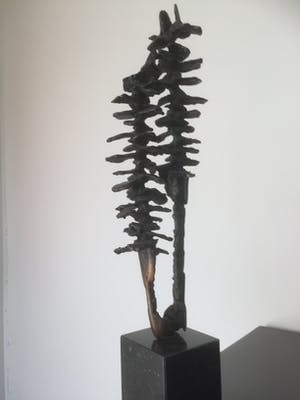 Ina Snoeijing - Twee bomen kopen? Bied vanaf 109!