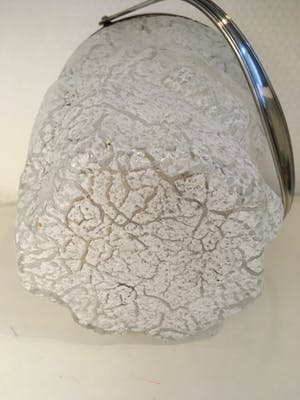 WMF - Frosted glas, verzilverde ijsemmer kopen? Bied vanaf 45!