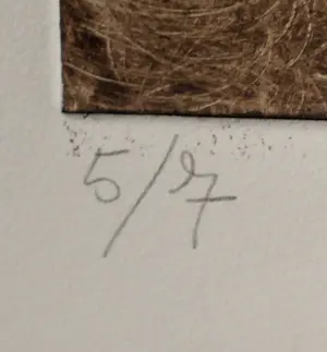 Ronald Tolman - Ets: studie van een hond - 1980 (oplage slechts 7 stuks!) kopen? Bied vanaf 250!