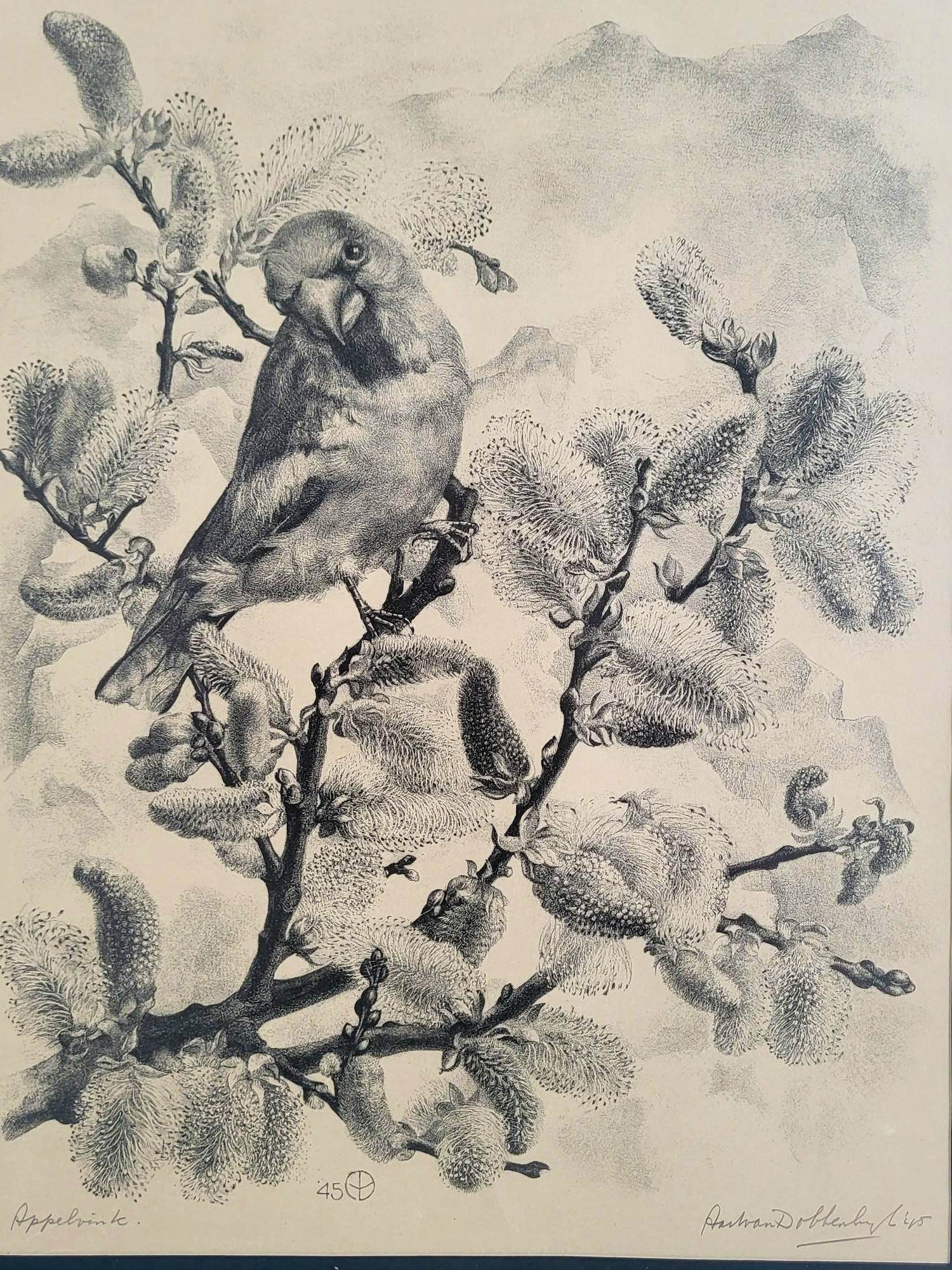 Aart van Dobbenburgh - Appelvink kopen? Bied vanaf 75!