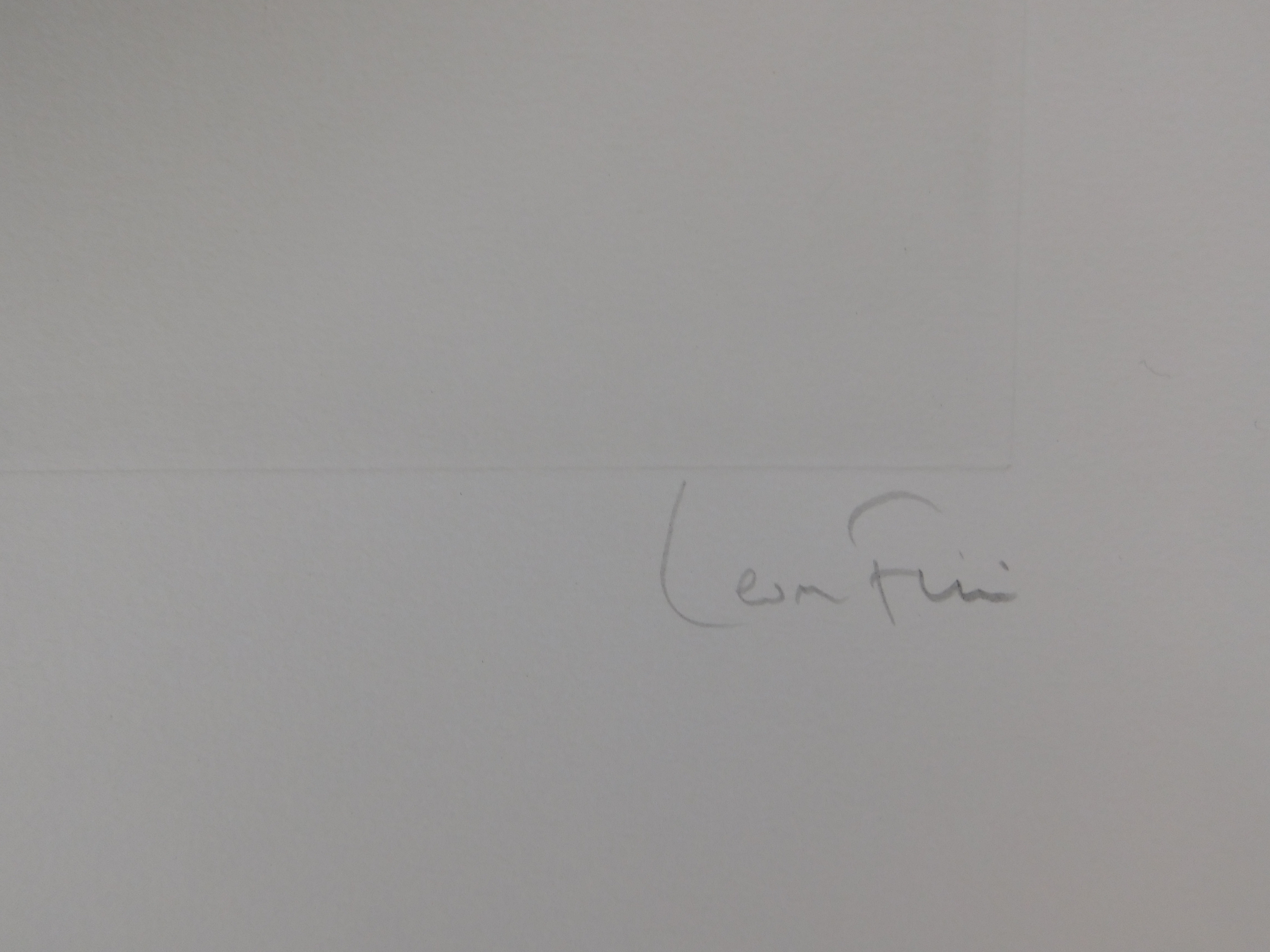 Leonor Fini - La Sorciere sur le Balai kopen? Bied vanaf 60!