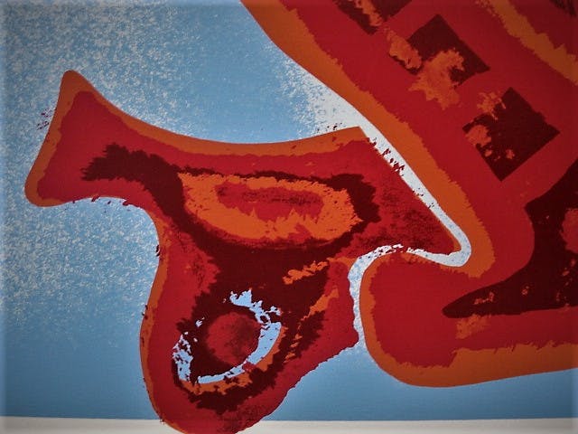 Theo van den Akker - Serigrafie - zeer bep. oplage (10 stuks) "Chromosome" gesigneerd kopen? Bied vanaf 1!