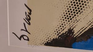 Herman Brood - Amazone kopen? Bied vanaf 450!