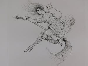 Leonor Fini - La Sorcière sur le Balai kopen? Bied vanaf 35!