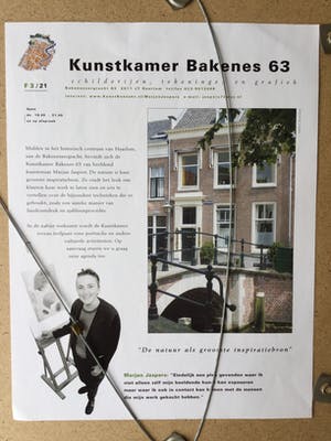 Marjan Jaspers - Gele Tulp | Zeefdruk (ingelijst) - kleine oplage kopen? Bied vanaf 50!