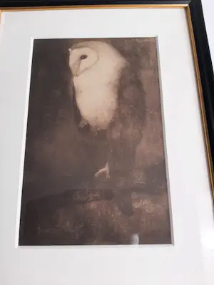 Jan Mankes - Originele Heliogravure Uil op Boomtak 1923 kopen? Bied vanaf 120!