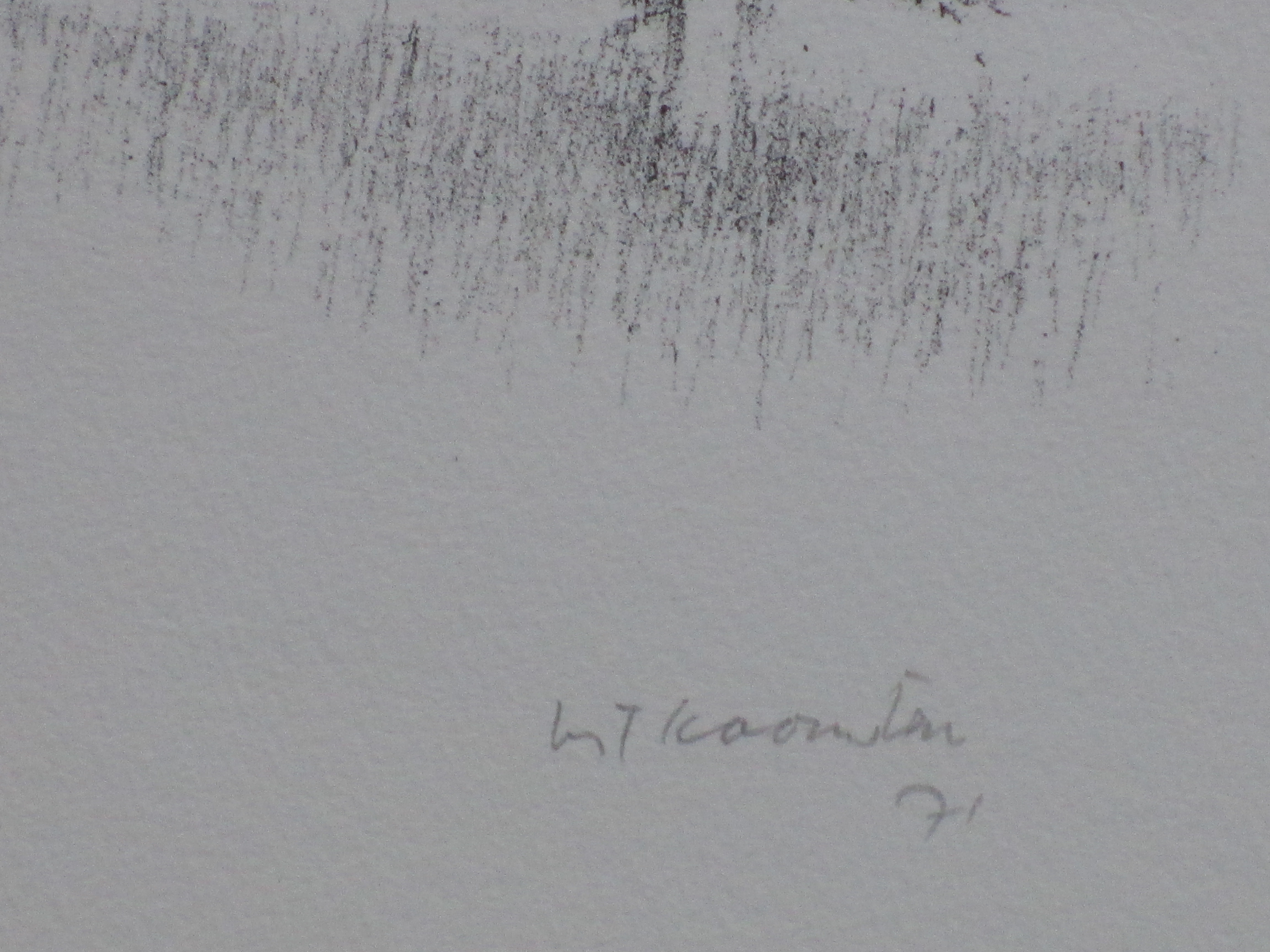Metten Koornstra - Persoon in mysterieus landschap - Litho kopen? Bied vanaf 45!