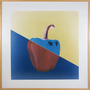 Jean Ruiter - Fotografie, Zonder titel: positief/negatief- Ingelijst kaufen? Bieten Sie von 60!