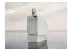 Mr Strange - Op en neer op de Noordpool kopen? Bied vanaf 85!