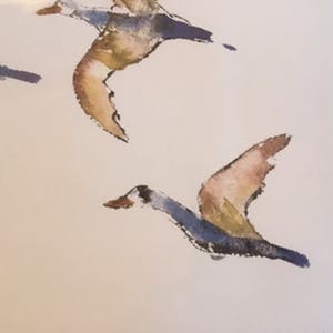 Maya Wildevuur - “ op de vleugels “ kopen? Bied vanaf 1!