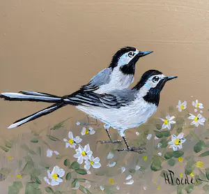 Henk Poeder - Vogels kopen? Bied vanaf 76!