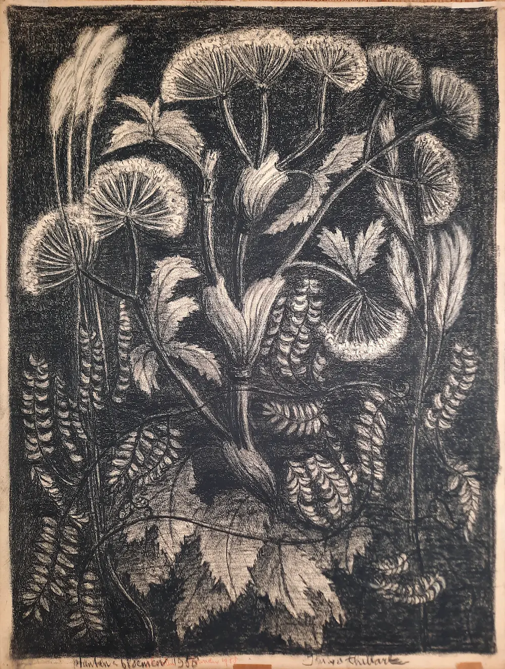 Jan van den Thillart (1904-2002)