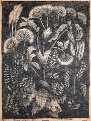 AcheterJan van den Thillart - Sybirisch krijt - Bloemen en Planten uit 1950 - JVDT18? Enchérissez de 395!