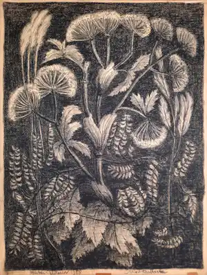 Jan van den Thillart - Sybirisch krijt - Bloemen en Planten uit 1950 - JVDT18 vendu pour 395€ !