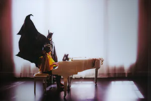 Deji - C-Print op dibond, Hero'd Out 1 (Zeer groot) kopen? Bied vanaf 300!