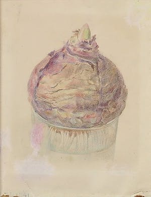 Wim Steijn - Potloodtekening, Hyacintenbol kopen? Bied vanaf 1!