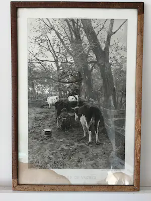 Anton Mauve (sr.) - Koeien melken. Photogravure kopen? Bied vanaf 1!