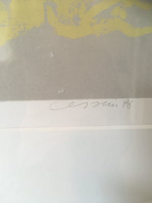 Henk van Vessem - Vredesduif kopen? Bied vanaf 40!