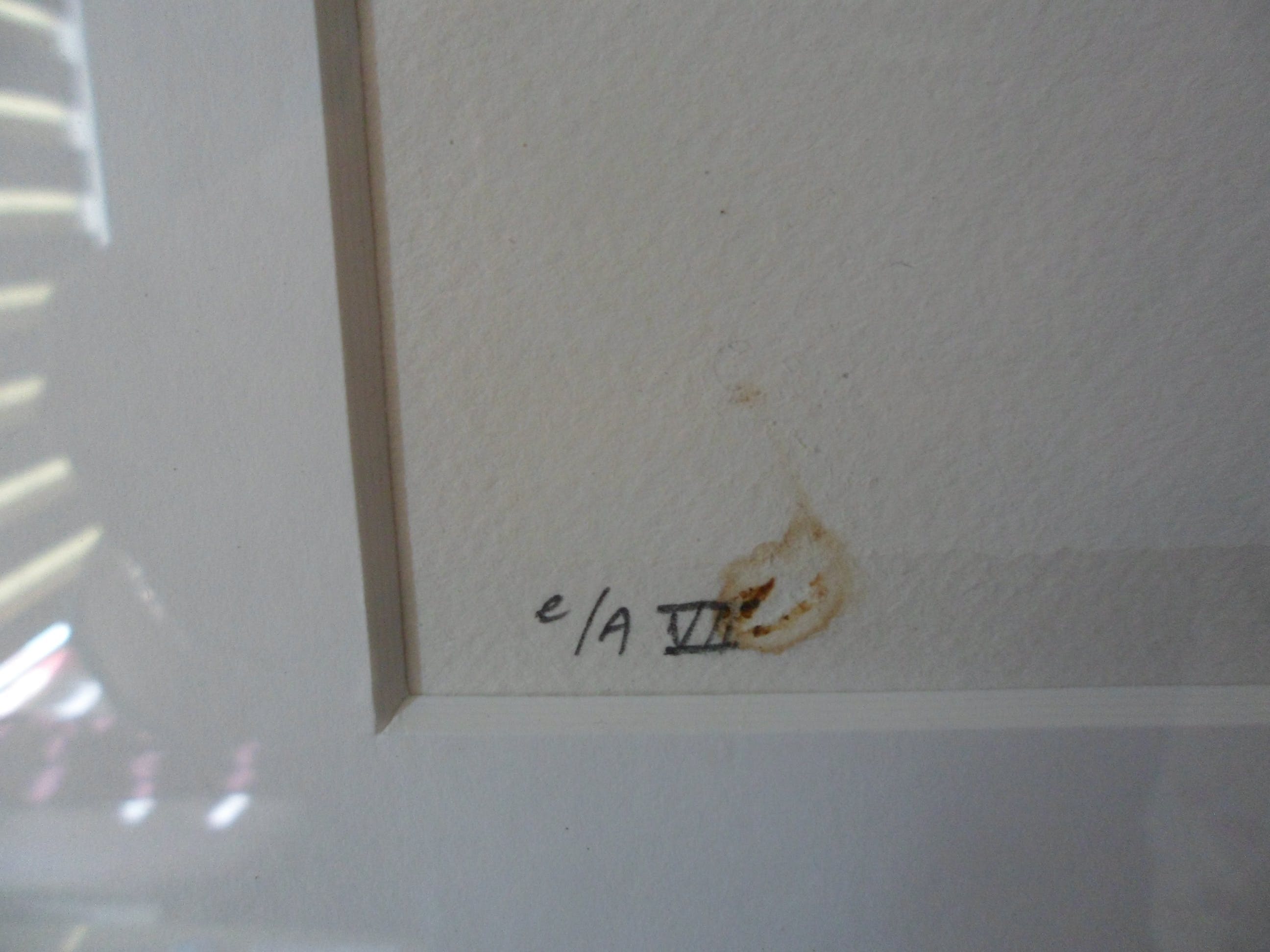 Jan te Wierik - 2 zeefdrukken,"Catalpa 1 en Catalpa 2. kopen? Bied vanaf 280!