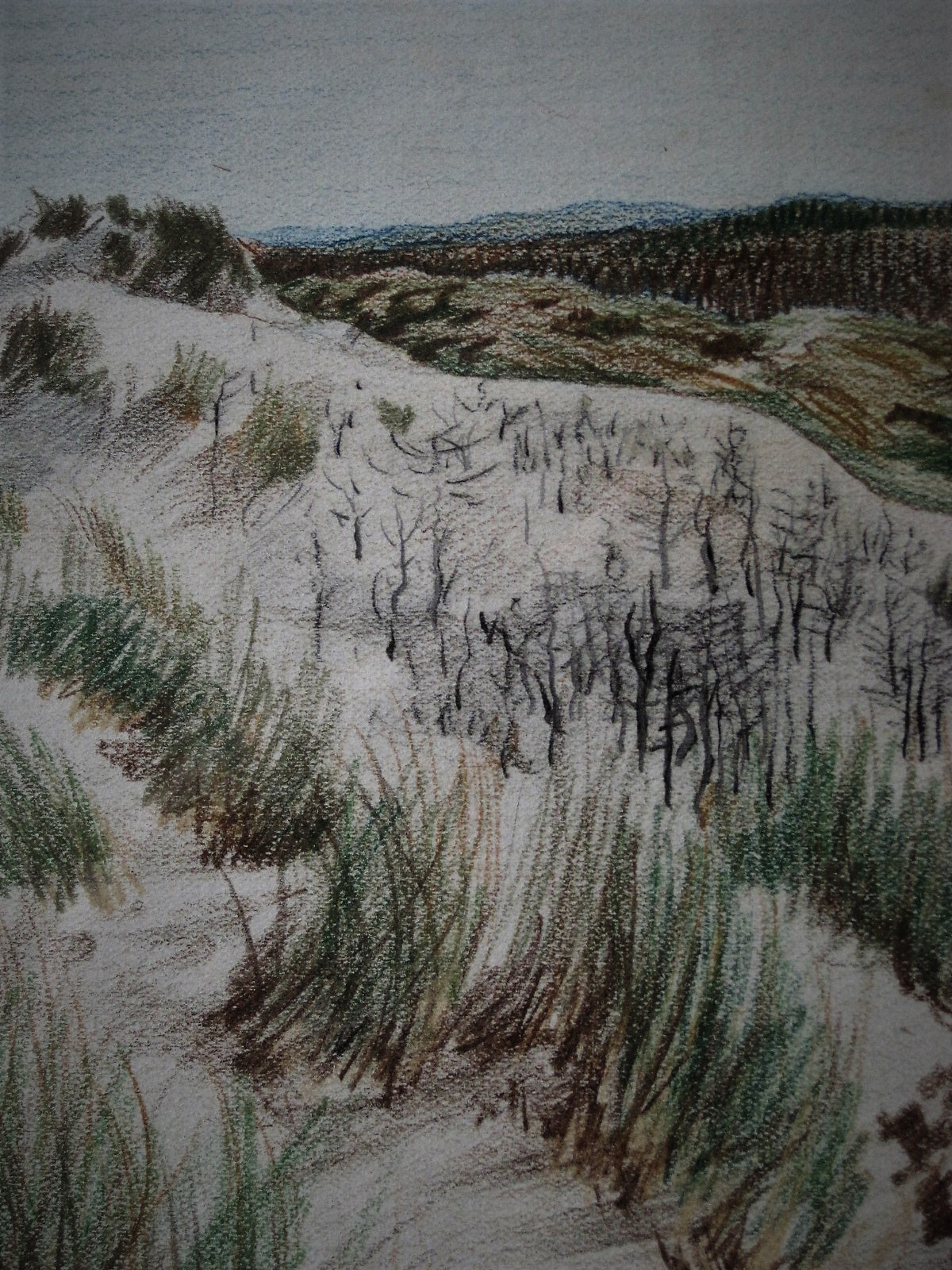 Sjoerd de Vries - gesigneerde Aquarel van Duinlandschap op Terschelling in 1945  kopen? Bied vanaf 1!