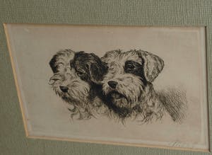 Niet of onleesbaar gesigneerd - Ingelijste ets , 2 Honden , 2 portretten - oud kopen? Bied vanaf 1!
