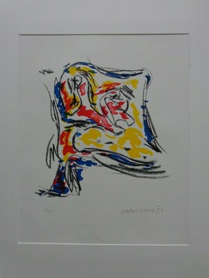 Theo Wolvecamp - THE FLAG / KLEURZEEFDRUK / 66x51cm / KADER / 1992 kopen? Bied vanaf 95!