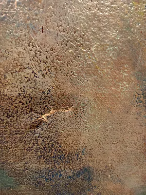 Carina Kaan - Geen titel kopen? Bied vanaf 20!