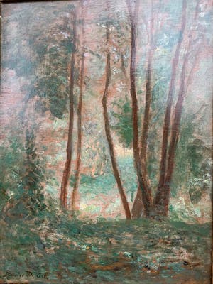 Xavier De Cock - Boszicht / Sous-bois kopen? Bied vanaf 69!