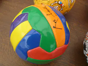 Rob Scholte - door Aguri- kunst bal 2006 kopen? Bied vanaf 50!