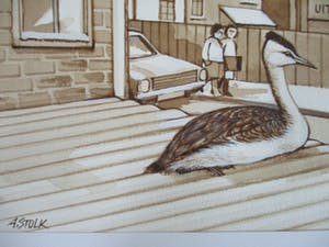 Ari Stolk - Fuut op station Driebergen-Zeist (1987) kopen? Bied vanaf 10!