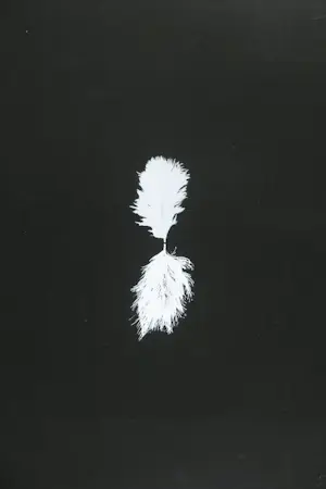 Henk Peeters - Zeefdruk, Het veertje kopen? Bied vanaf 250!