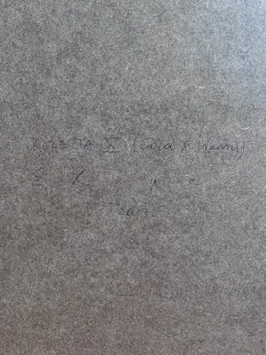 Eliza Kopec - Rozetta X (Warm & Cold) kopen? Bied vanaf 2000!