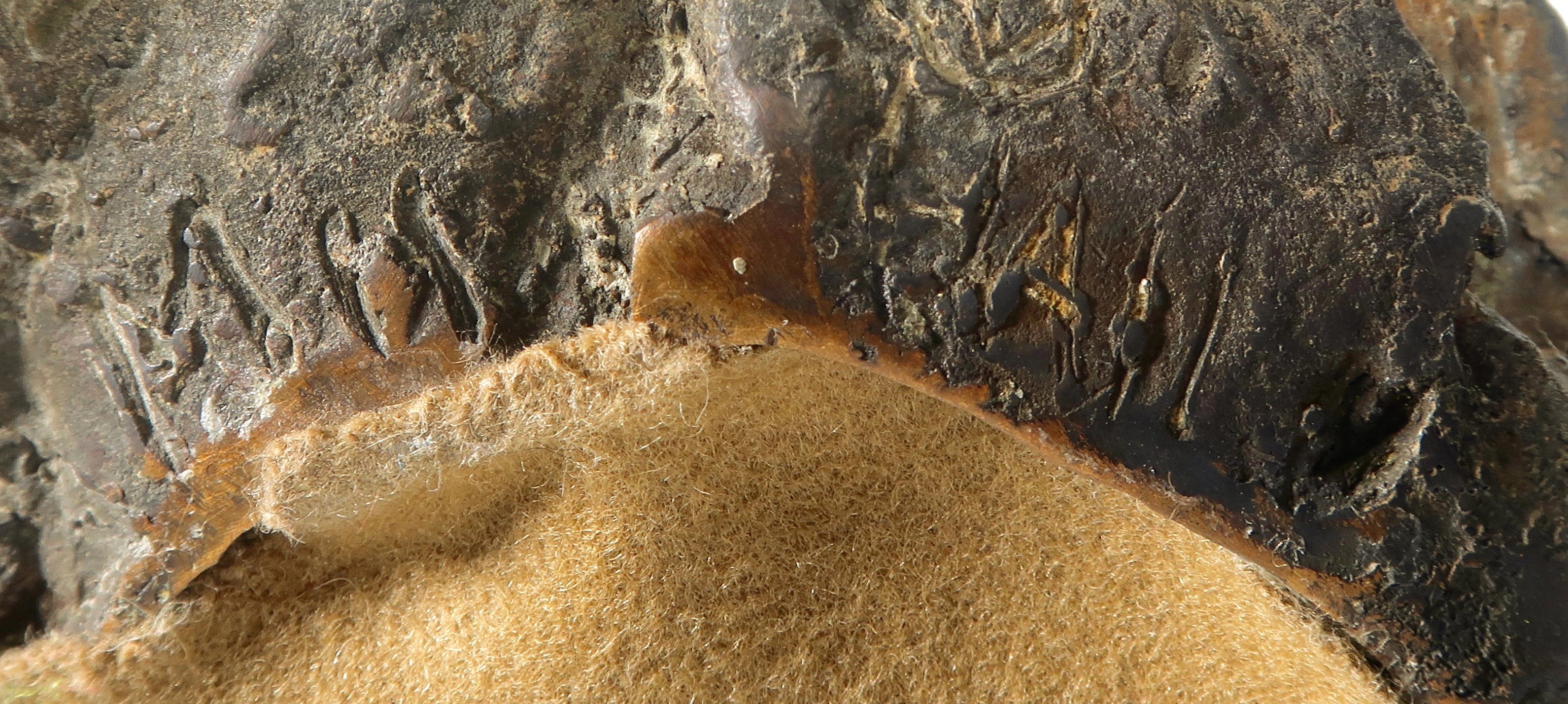 Maja van Hall - Bronzen beeld, Bisschop kopen? Bied vanaf 450!